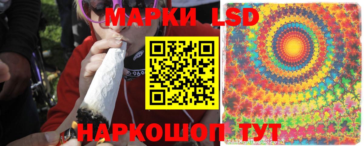 Кузнецк  LSD-25 экстази ecstasy  LSD-25 экстази ecstasy  ЛСД экстази  Вход с VPN 