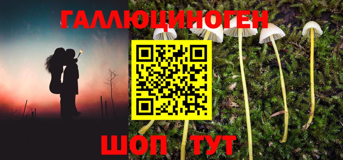 Галлюциногенные грибы GOLDEN TEACHER  Вход с VPN  Кузнецк  Галлюциногенные грибы GOLDEN TEACHER 